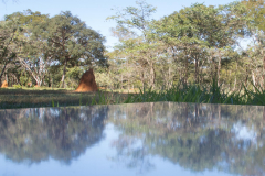 (a)linha, 2012