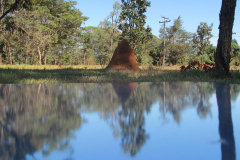 (a)linha, 2012