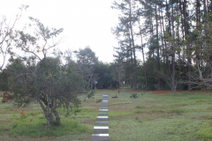 (a)linha, 2012