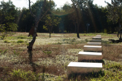 (a)linha, 2012