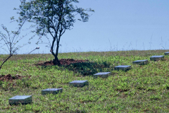 06-02-trilha-2002-projeto-entorno-brasilia-024