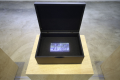 02-04-Souvenir-Brasilia-2012-Ser-Paisagem-Funarte-Brasilia-31