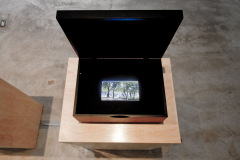 02-04-Souvenir-Brasilia-2012-Ser-Paisagem-Funarte-Brasilia-4