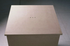 Capturas, 2001 -  Arte Futura - Brasília