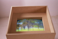 Capturas, 2001 -  Arte Futura - Brasília