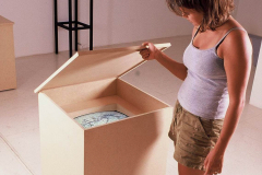 Capturas, 2001 -  Arte Futura - Brasília