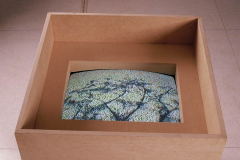Capturas, 2001 -  Arte Futura - Brasília