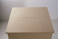 Capturas, 2001 -  Arte Futura - Brasília