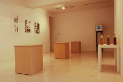 Capturas, 2001 -  Arte Futura - Brasília