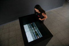 Como-ver-se, 2010 - Síntese das artes - CCBB Brasília