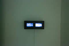03-16-queda-2023-4J6A7759
