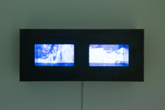 03-16-queda-2023-4J6A7760