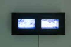 03-16-queda-2023-4J6A7761