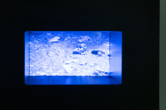 03-16-queda-2023-4J6A7765