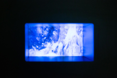 03-16-queda-2023-4J6A7771