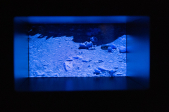03-16-queda-2023-4J6A7790
