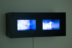 03-16-queda-2023-4J6A7799