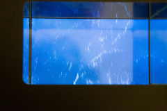 03-17-ao-sul-um-rio-2023-4J6A7882