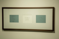 04-07-brasil-ilha-2023-4J6A8337